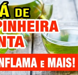 Chá para Inflamação, Estômago, Intestino, Gases,... Benefícios da Espinheira Santa!