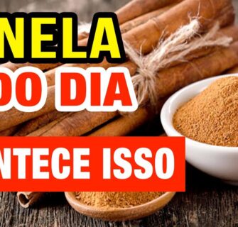 CANELA TODO DIA - Veja o que acontece com você!