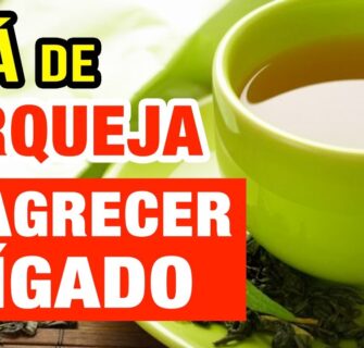 Emagrecer, Fígado e Açúcar no Sangue - Benefícios do Chá de Carqueja e Como Usar