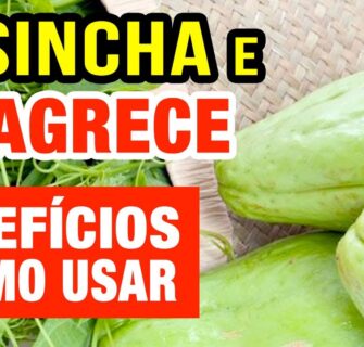 Desinchar, Emagrecer e Mais - Os Incríveis Benefícios do Chuchu e Como Usar Certo