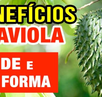 Benefícios da GRAVIOLA para SAÚDE e BOA FORMA - Para Que Serve e Dicas