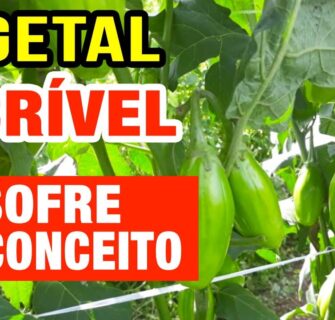 Esse Vegetal INCRÍVEL sofre Preconceito! Ajuda a Emagrecer, Instestino, Diabetes e Mais