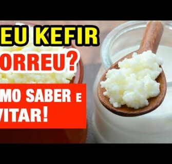 Como saber se o KEFIR MORREU e como EVITAR (inclusive em viagens!)