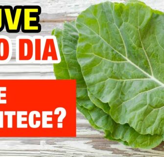 COUVE TODO DIA - Veja o que ACONTECE com você! (Use assim!)