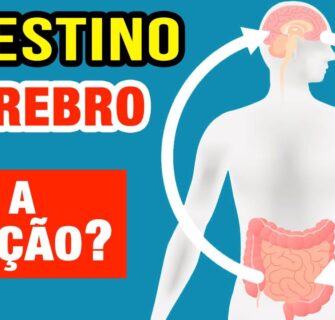 Por que o INTESTINO É NOSSO SEGUNDO CÉREBRO? Impressionante!