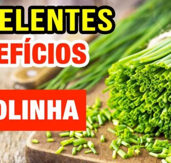 Olha o que Acontece ao Colocar Cebolinha nas suas Refeições! Benefícios e Dicas