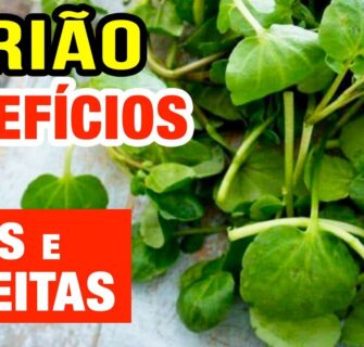 Os Impressionantes Benefícios do Agrião para Saúde e Boa Forma - Como Usar e Receitas