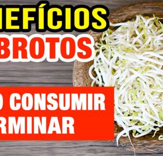 Benefícios dos BROTOS - Como Consumir e Germinar Grãos e Sementes