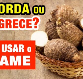 Inhame ENGORDA ou EMAGRECE? Como Usar, Cuidados e Receitas