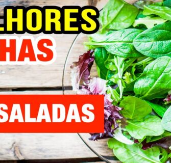 MELHORES FOLHAS PARA SALADAS - Mais Saúde, Emagrecimento e Disposição