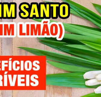 Desinchar, Pressão, Estresse,.. Benefícios do Capim Limão para Saúde e Como Usar