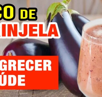 O INCRÍVEL SUCO DE BERINJELA para EMAGRECER e Saúde! USE ASSIM! Benefícios e Dicas