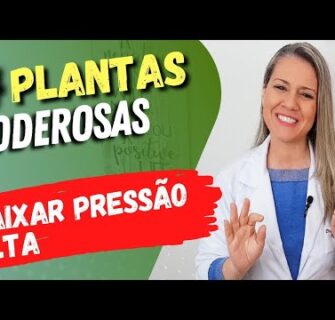 4 Plantas SUPER PODEROSAS para BAIXAR PRESSÃO ALTA!