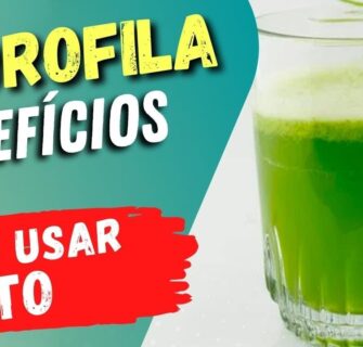 ANTI-INFLAMATÓRIA e ANTIOXIDANTE! Benefícios da CLOROFILA e Dicas Importantes