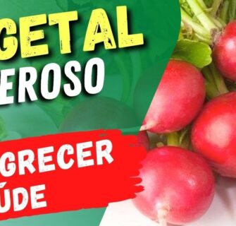 EMAGRECER, FÍGADO, Baixar AÇÚCAR NO SANGUE e Mais! Poucas Calorias e Carboidratos! (Low Carb)