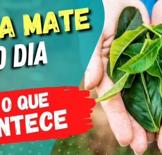 Beber MATE TODO DIA - Veja o que ACONTECE com você! (USE ASSIM!)