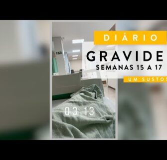 Diário de Gravidez Semanas 15 a 17 e 😱 Ultrassom de Última Hora - Carol Borba