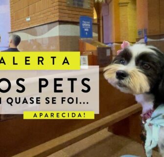 Alerta para quem tem PET!!  Nossa KIKI quase se foi 😢🙏🏼 - Carol Borba