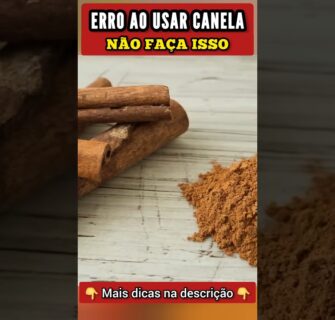 ERRO ao USAR CANELA - Não Faça Isso!