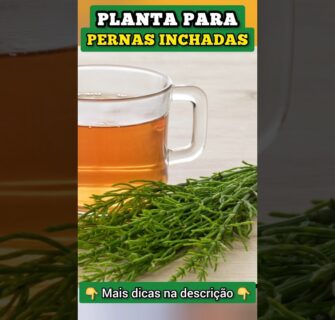 Planta para PERNAS INCHADAS