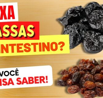 AMEIXA ou PASSAS para o INTESTINO? O que você PRECISA SABER!