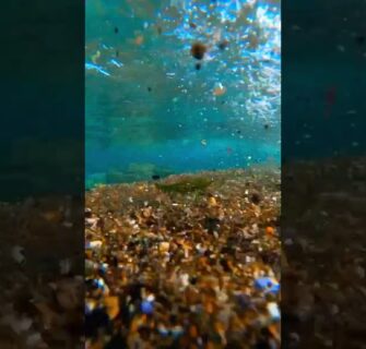 The most popular video #gopro #australia #oceanwaves #ocean #satisfying #losecontrol