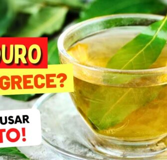 CHÁ DE LOURO EMAGRECE? Como Ajuda? Como Usar Certo?