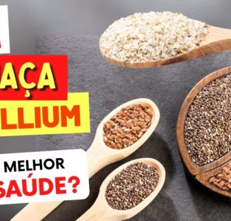 CHIA, LINHAÇA ou PSYLLIUM - O Que é Melhor para Dieta? Qual é Mais Saudável?