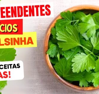 Benefícios da SALSINHA que vão te SURPREENDER - Como Usar, Chá, Receitas e Dicas