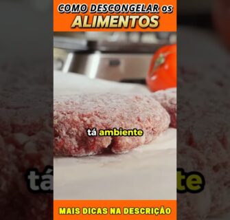 Descongelar Alimentos com Segurança