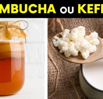 KEFIR ou KOMBUCHA: Qual é MELHOR? Como Fazer em Casa?