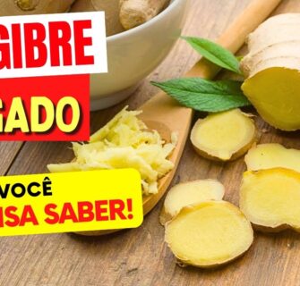 GENGIBRE e FÍGADO - O que você PRECISA SABER!