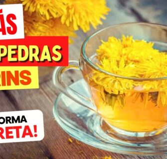 5 Melhores CHÁS contra PEDRA NOS RINS - Benefícios, Como Preparar e Como Tomar