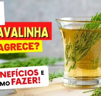 Chá para DESINCHAR, RINS, CORAÇÃO e mais - Benefícios do CHÁ DE CAVALINHA e Dicas